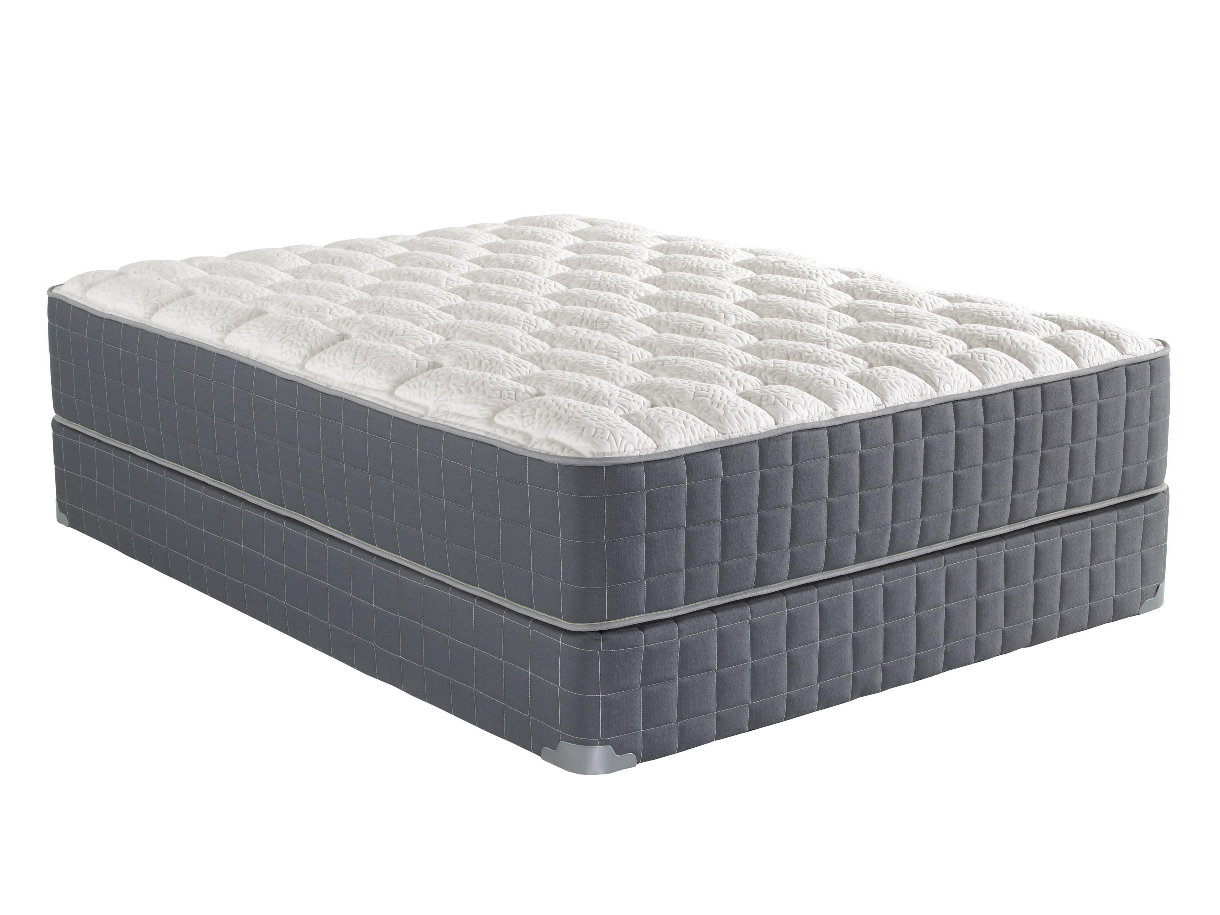Queen Mattress Euphoria Queen Mattress Set Review