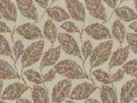 Beech Clay