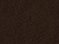 Marshal Coffee