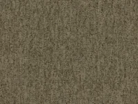 Halifax Dove