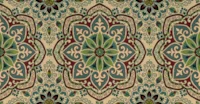 Gypsy Poppy