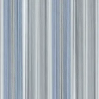 Daytripper Stripe