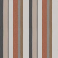 Multicolor Stripe Fabric