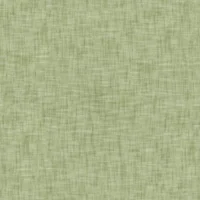 Green Plain Fabric