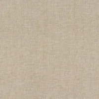 Beige/Tan Textured Plain Fabric