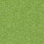 Kiwi Green