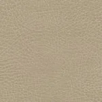 Brisa Chamois