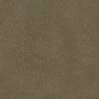 Eaglet Ceramic