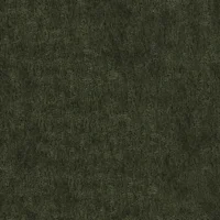 Patagonia Moss