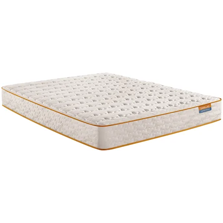 Queen 9 1/2" Medium Foam Mattress