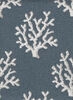 Blue Coral