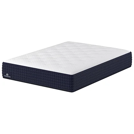 Queen Plush Mattress