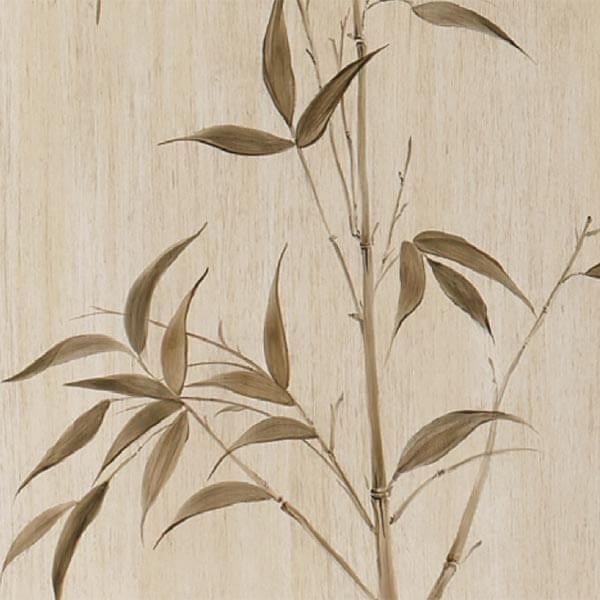 Bamboo