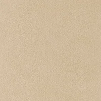 Ultrasuede Sand (3584)