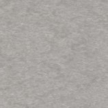 Dove Gray