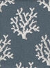 Blue Coral