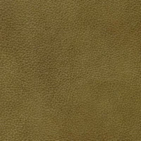 Document Taupe