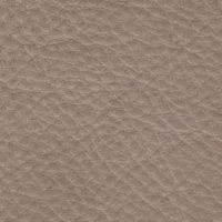 Coast Taupe