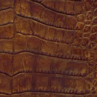 Nile Croc Burnished