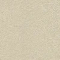 Brisa Distressed Navajo Ivory