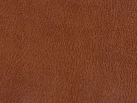 Riviera Sand Dunes Leather