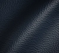 Luxtan Navy Performance Leather