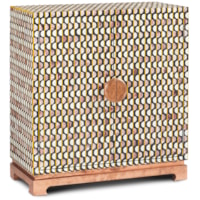 Contemporary 2-Door Buffalo Bone Accent Cabinet