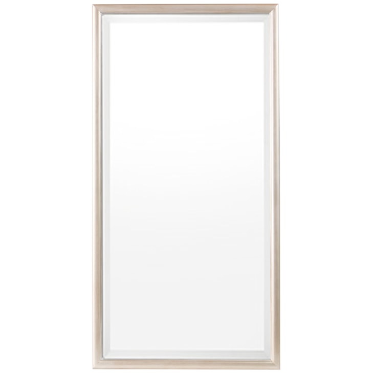 Sherrill Occasional NAPLES Floor Mirror