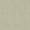 ACTION SEAFOAM SHR-014622