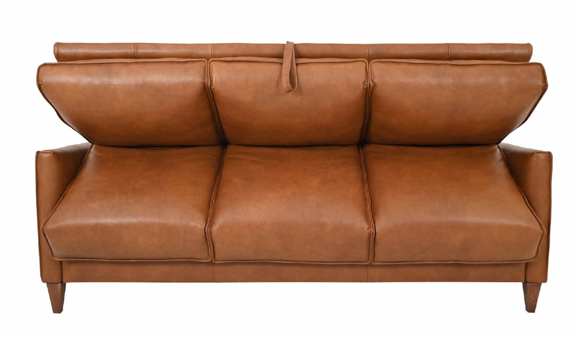 Italian Leather Sleeper Sofa