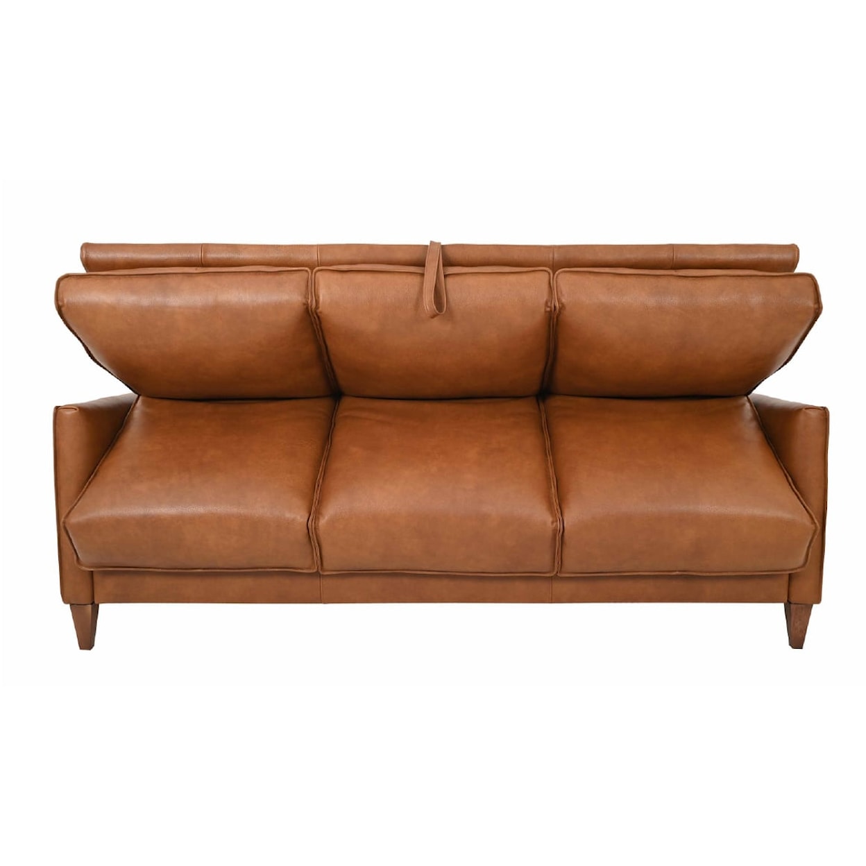 Virginia Furniture Market Premium Leather Bergamo Italian Leather Sleeper Sofa