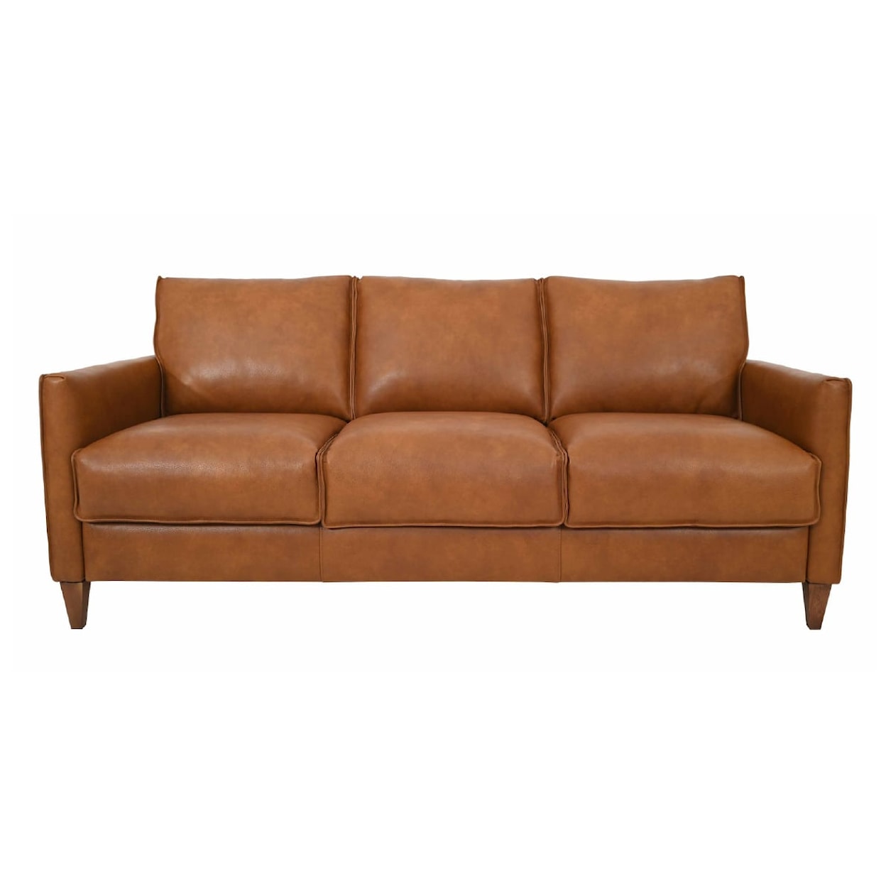 Virginia Furniture Market Premium Leather Bergamo Italian Leather Sleeper Sofa