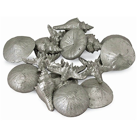 Assorted Mini Seashells