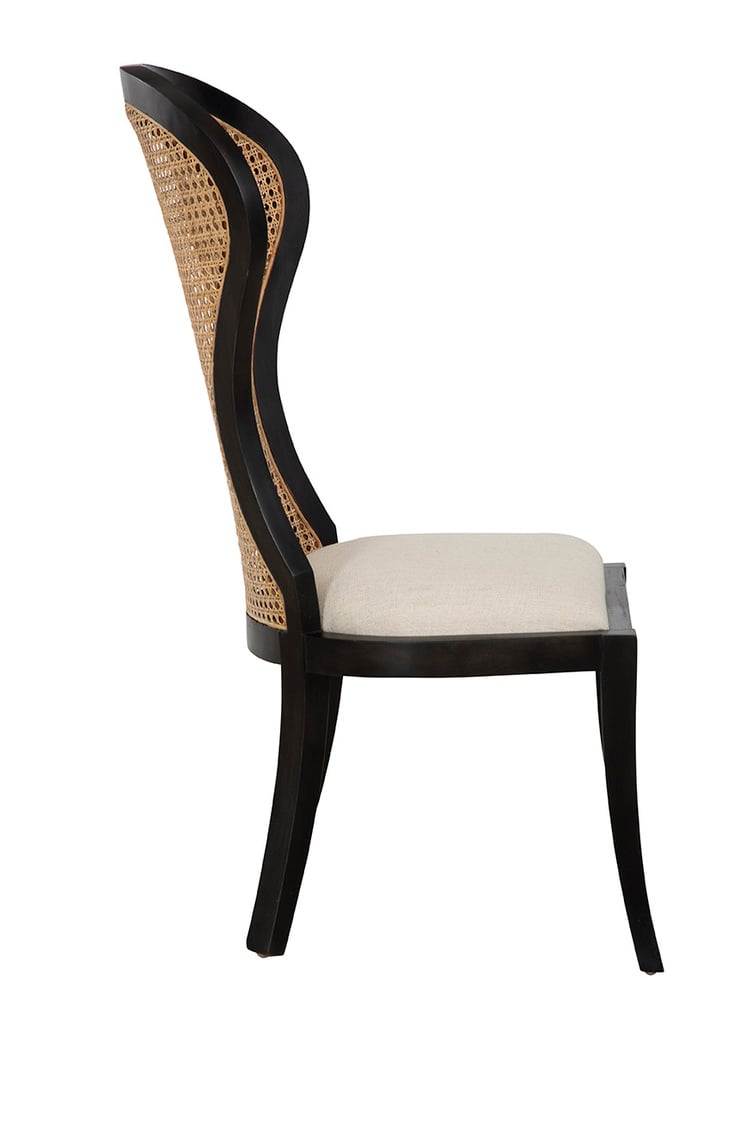 Furniture Classics Furniture Classics Black Adrina Side Chair