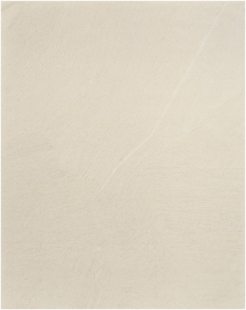 8'6" X 11'6" Ivory Rectangle Rug
