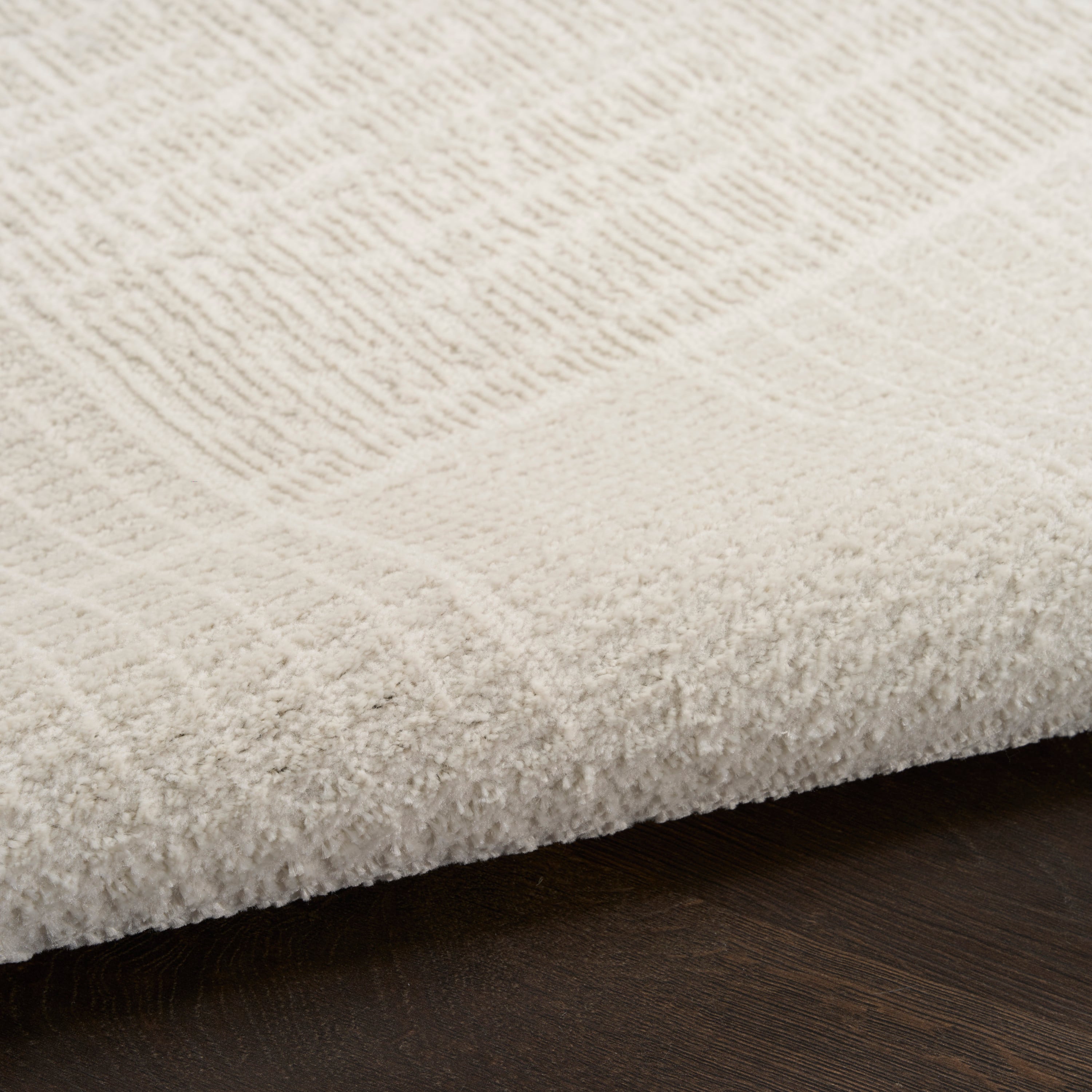 Nourison Nordic 5' X 7'  Rug