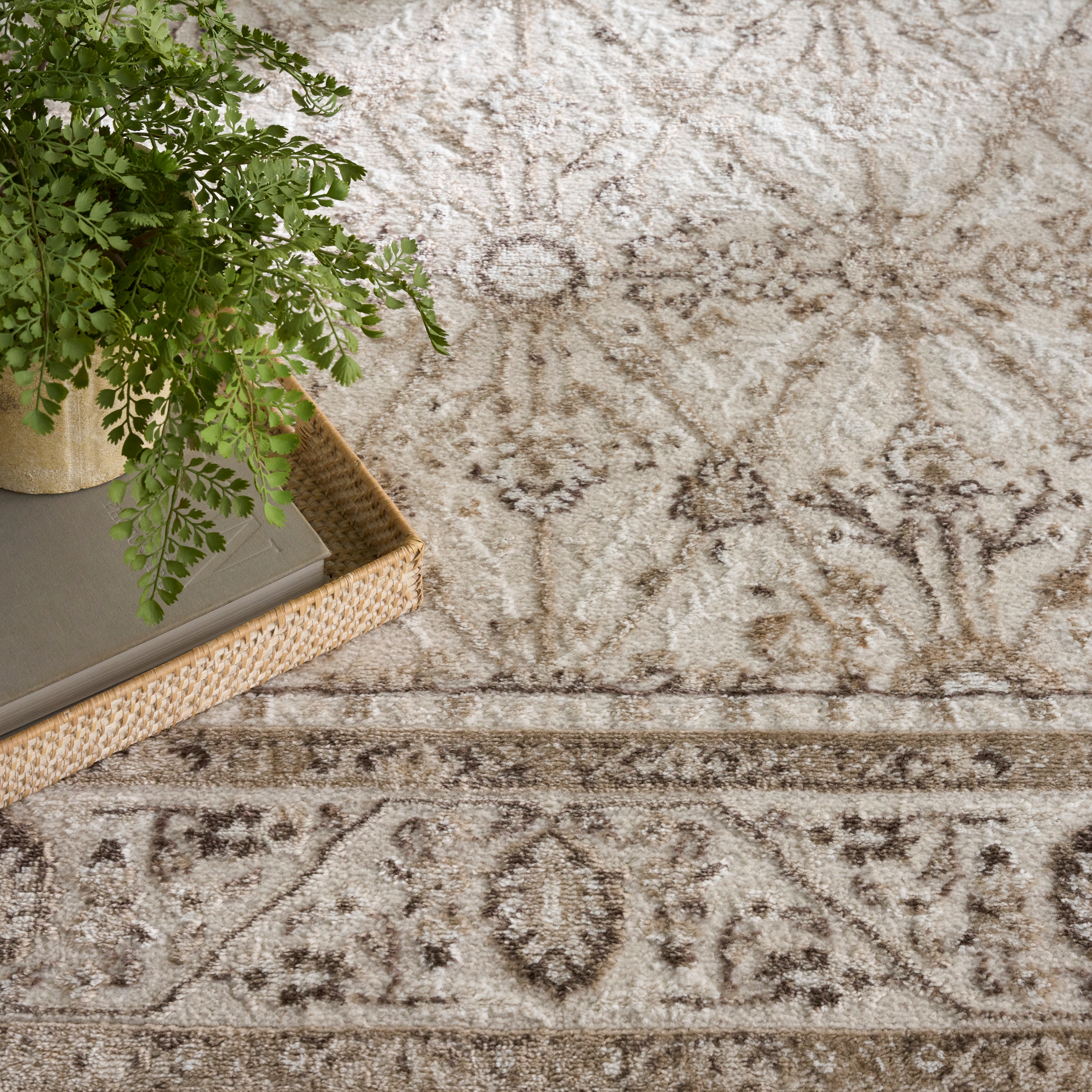 Nourison Dekor 5'3" X 7'