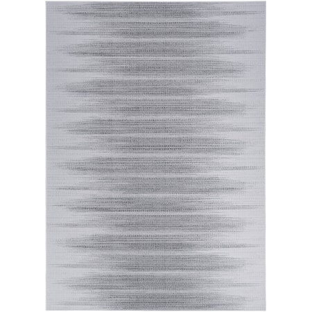 5' x 7'  Rug