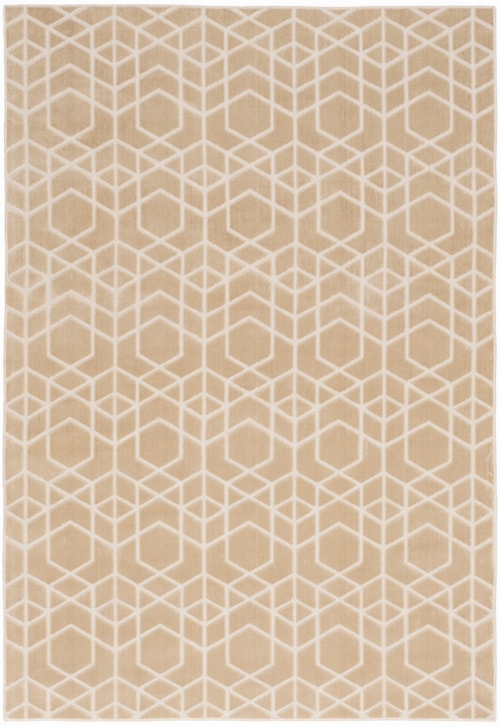 4' X 6' Beige Ivory Rectangle Rug