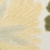 Ivory Green
