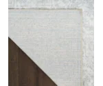Nourison Astra Machine Washable 5'3" X 7'