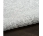 Nourison Astra Machine Washable 4' X 6'