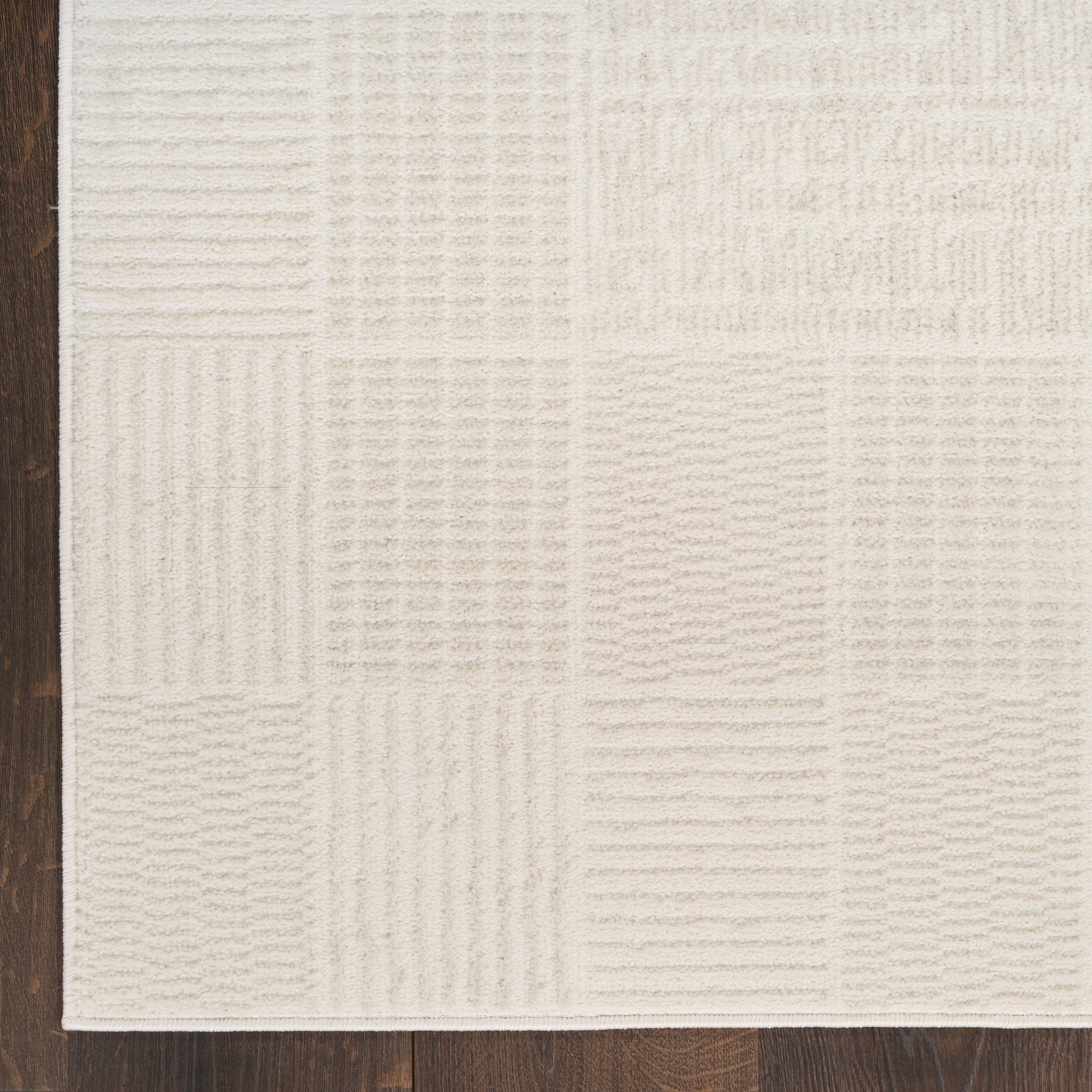 Nourison Nordic 5' X 7'  Rug