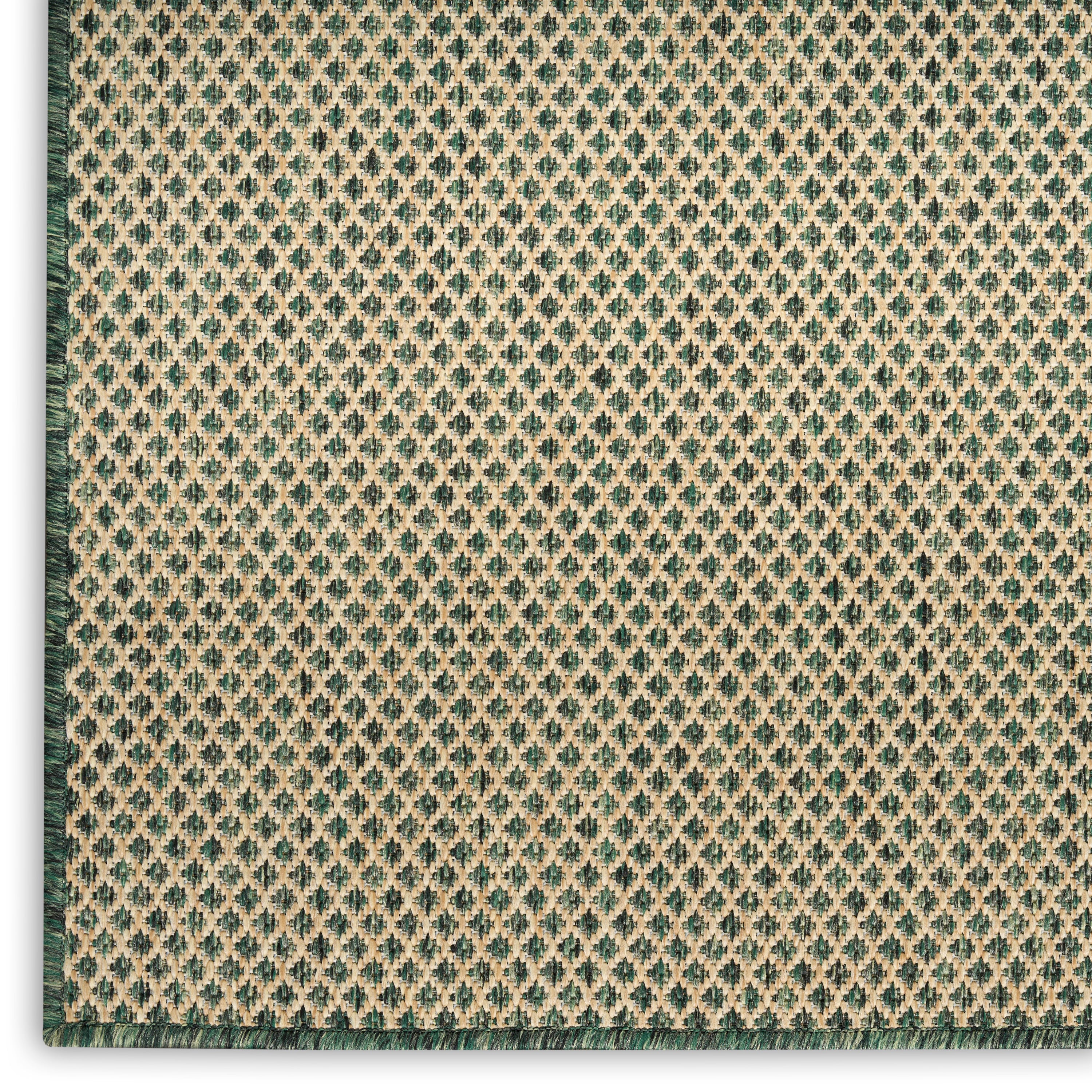 Nourison Courtyard 4' X 6'  Rug