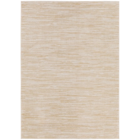 5' x 7'  Rug