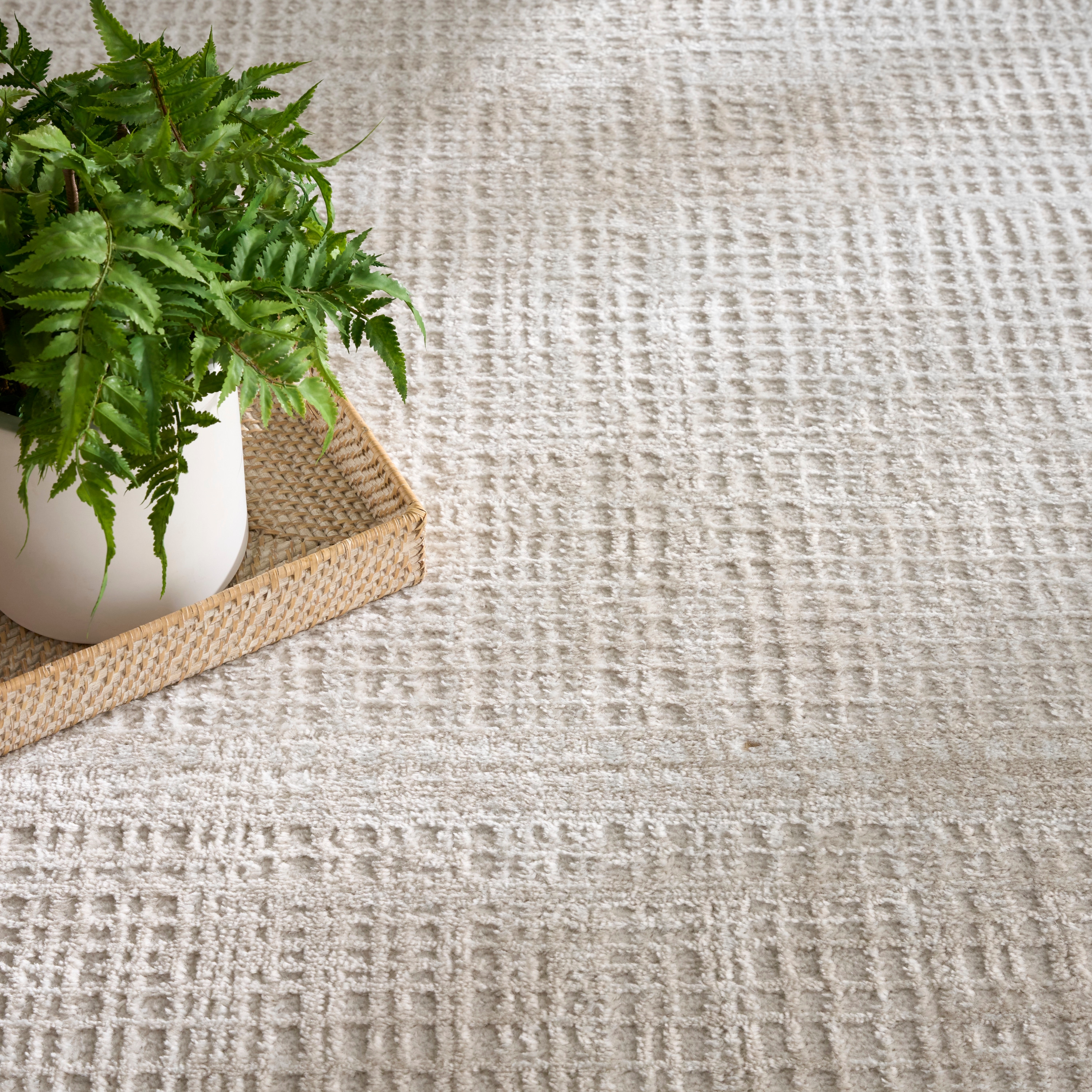 Nourison Dekor 4' X 6'