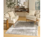 Nourison Pacific Shag 7'10" X 9'10"