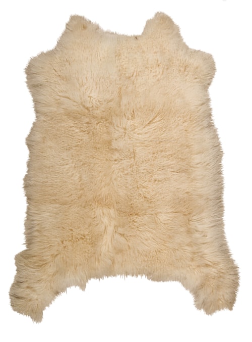 60" X 84" Beige Rectangle Decorative Rug
