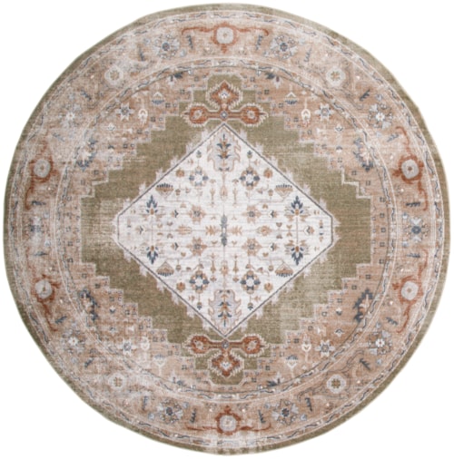 5'3" Sage Multicolor Round Rug