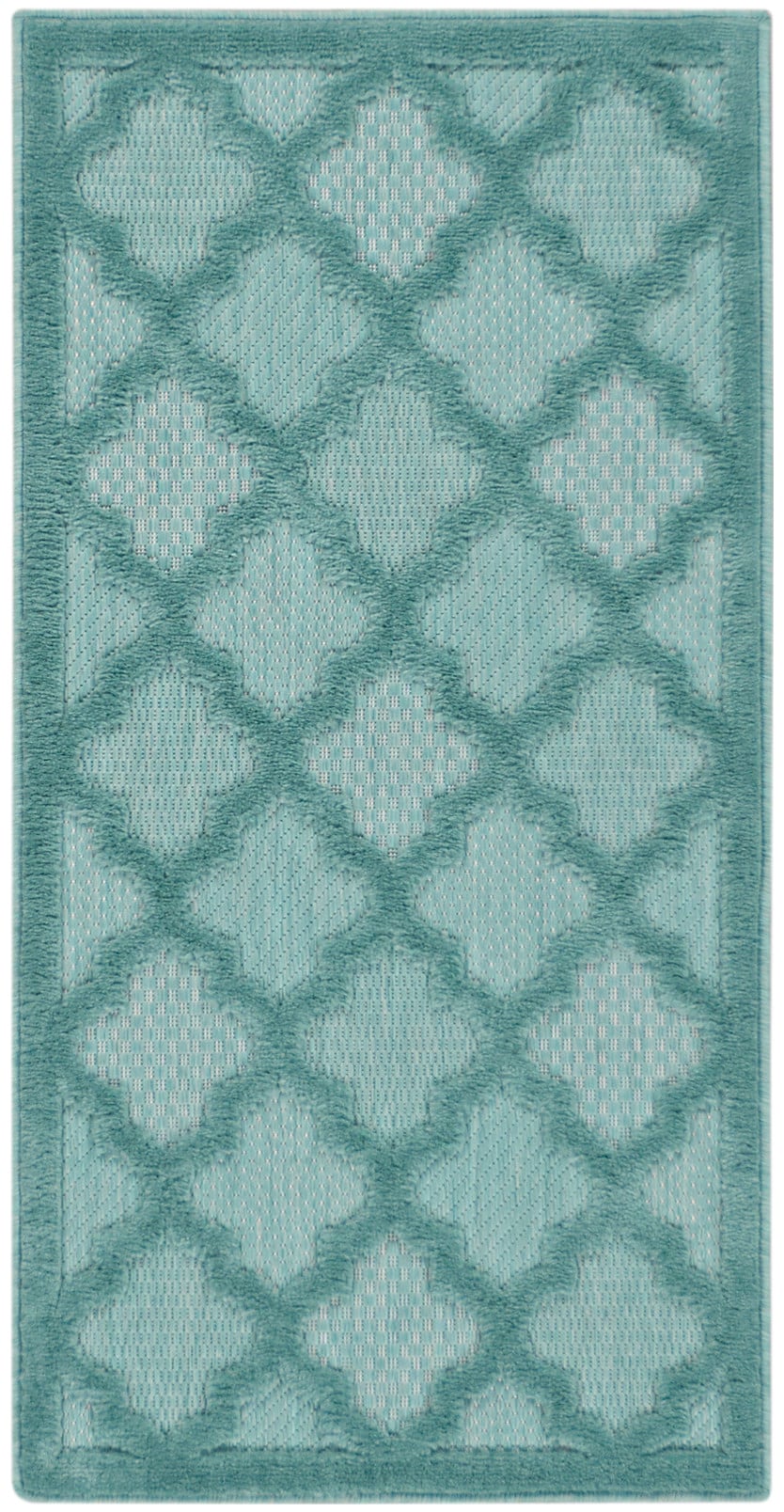 2' x 4' Aqua/Teal Rectangle Rug